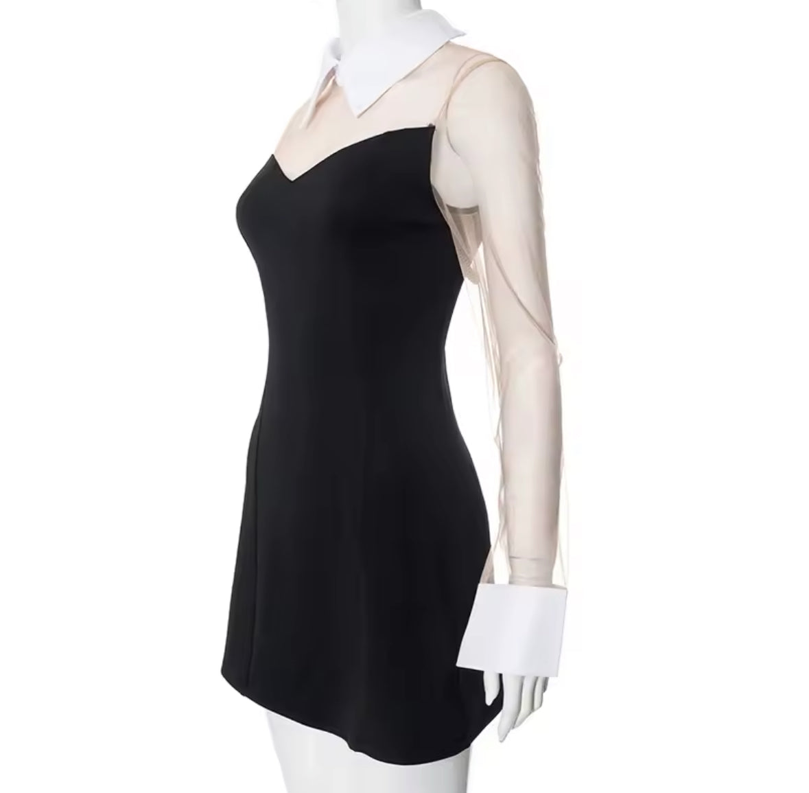Chic Contrast Collar Sheer Sleeve Mini Dress