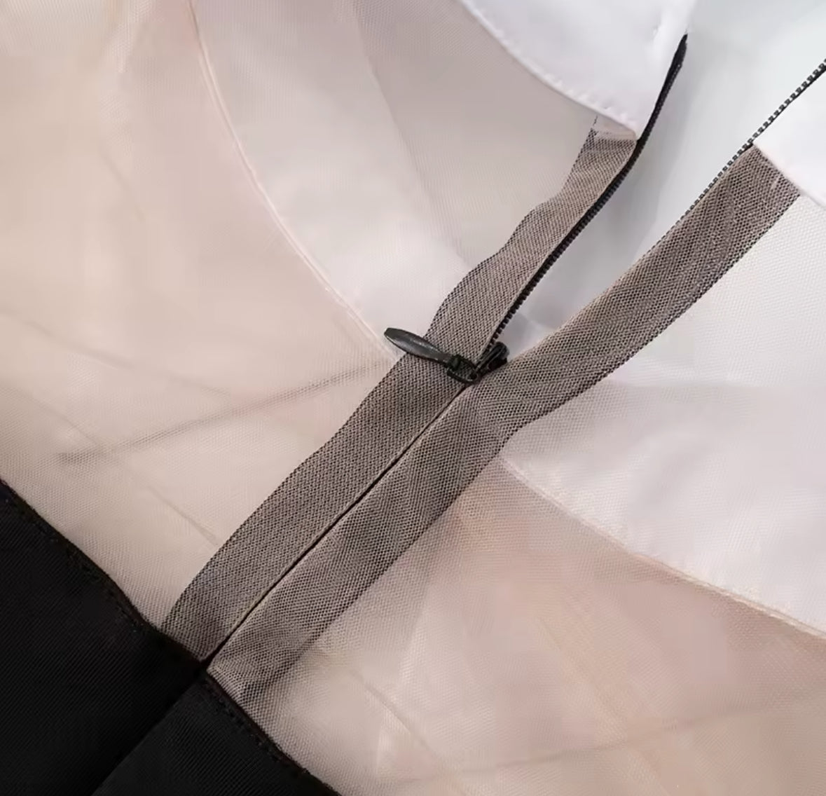 Chic Contrast Collar Sheer Sleeve Mini Dress