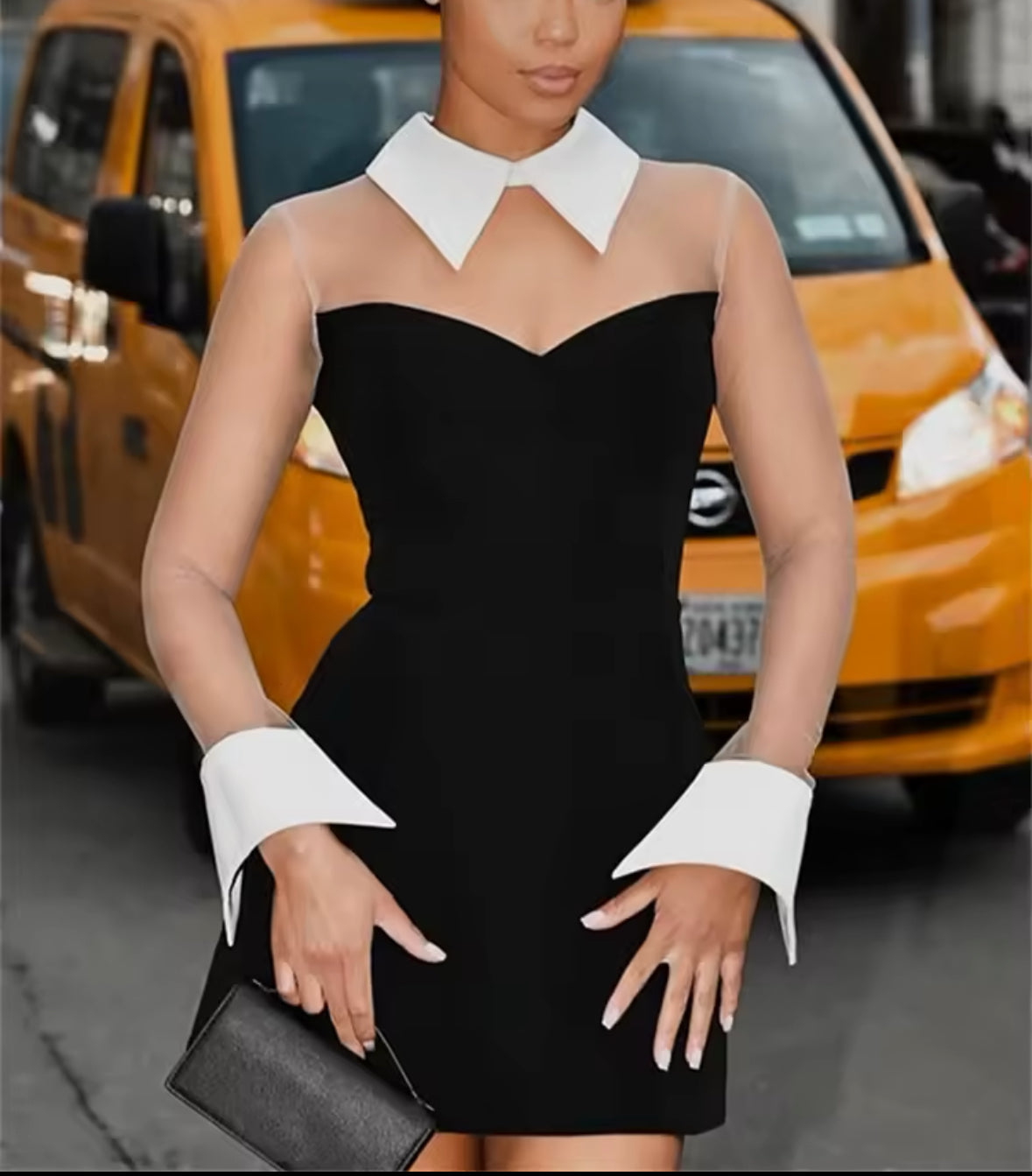 Chic Contrast Collar Sheer Sleeve Mini Dress