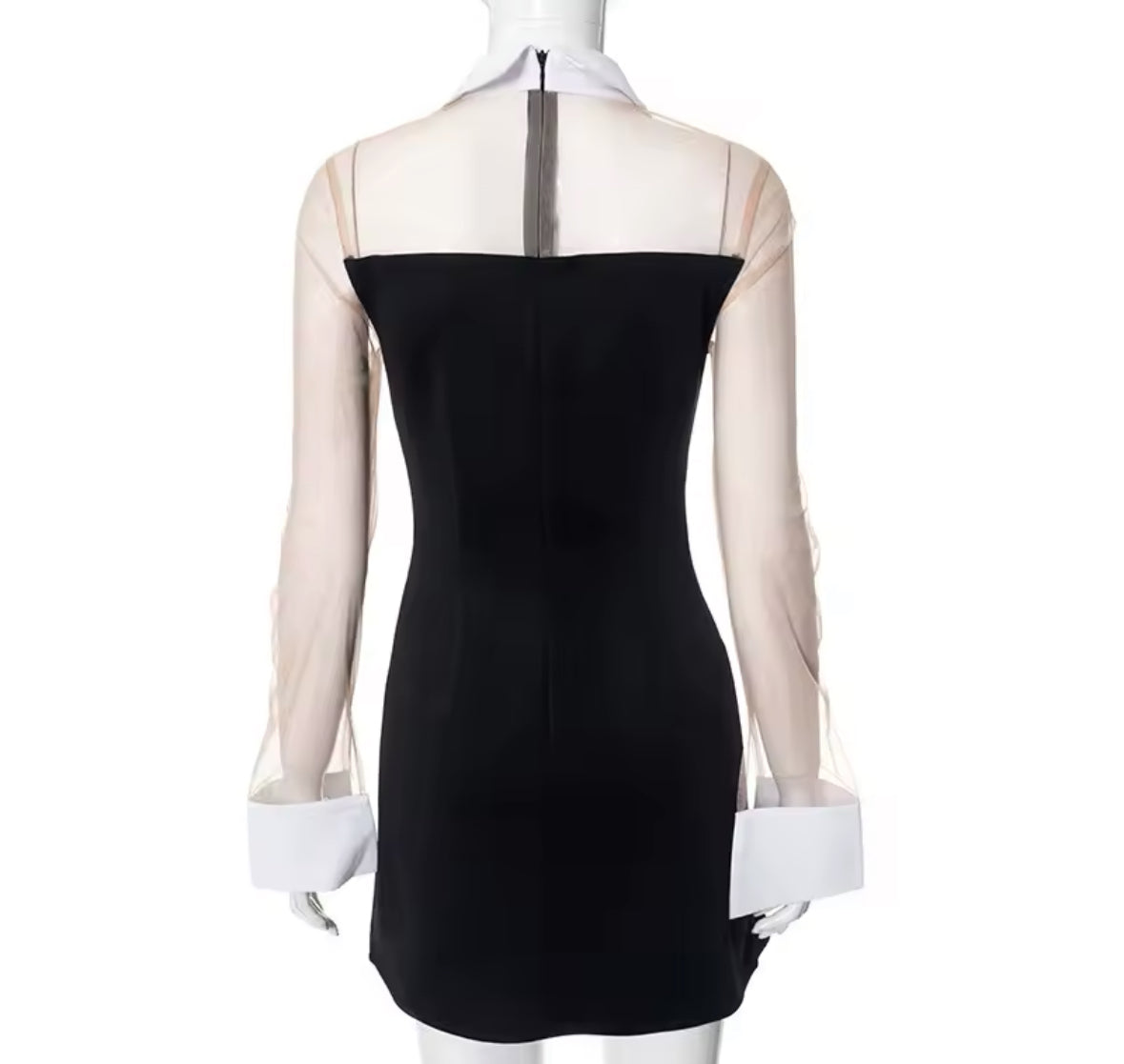 Chic Contrast Collar Sheer Sleeve Mini Dress