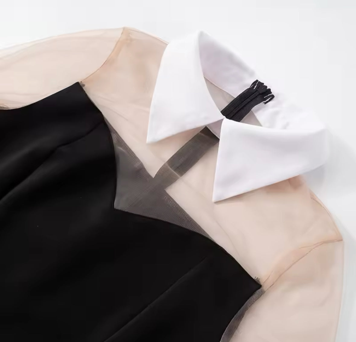 Chic Contrast Collar Sheer Sleeve Mini Dress