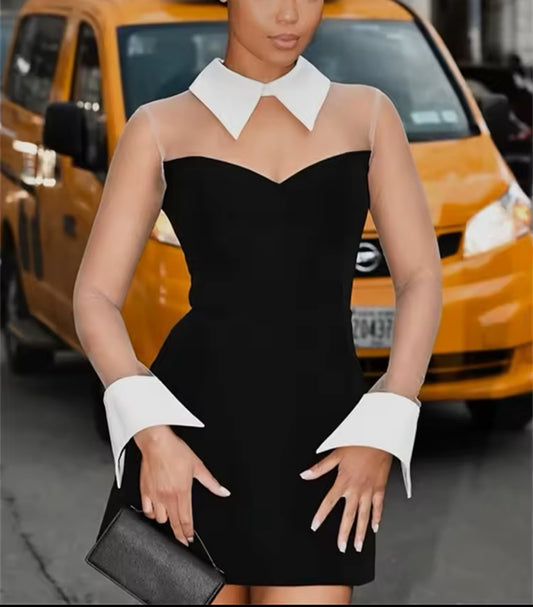 Chic Contrast Collar Sheer Sleeve Mini Dress