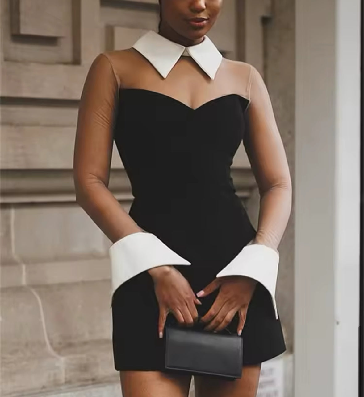 Chic Contrast Collar Sheer Sleeve Mini Dress